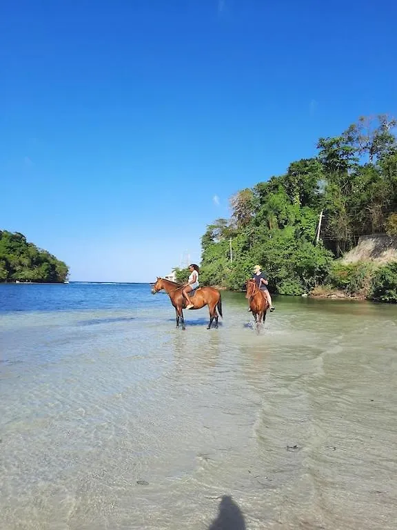 Amazing Location! Walk To Town, Beach & Dinner - Payment Required To Reserve 奥乔里奥斯 公寓